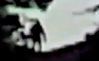 Marble Mountain Bigfoot Sighting
