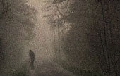 Bigfoot photo
